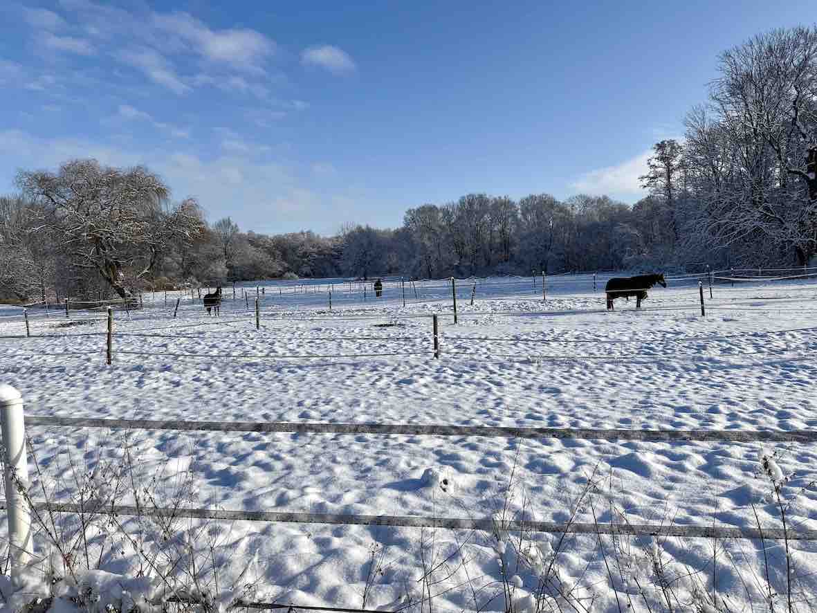 Koppeln_Winter