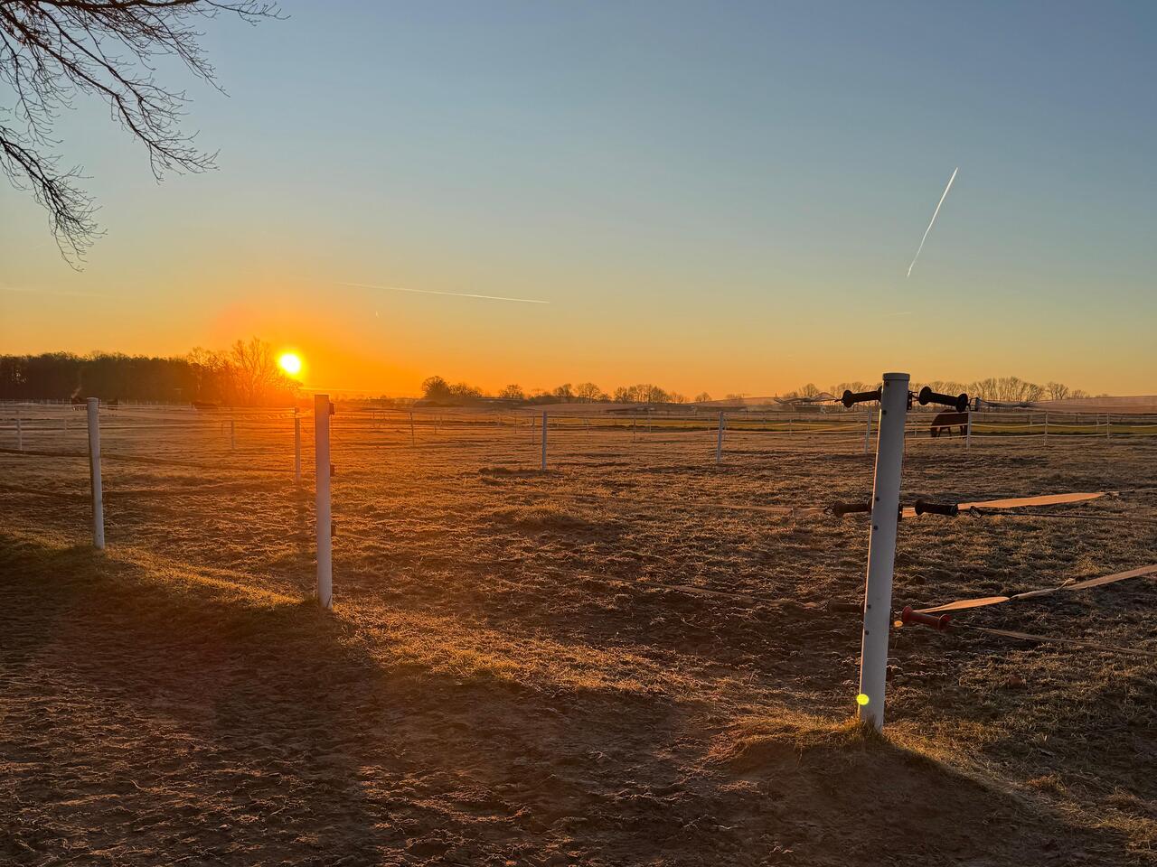 Koppeln_Sonnenuntergang
